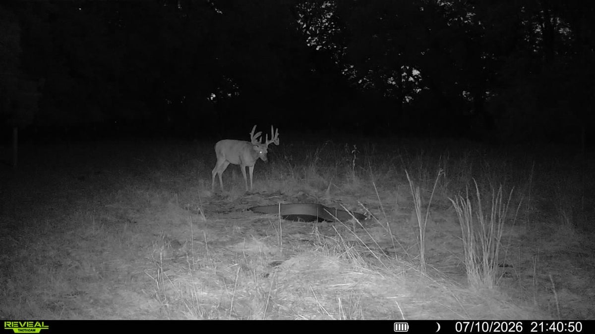 A black-and-white night-trail camera photo of a deer standing in a grassy field next to a deer watering pond, with trees in the background, plus a date and time stamp in the lower right corner.